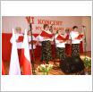 Galeria zdjęć: Koncert 