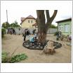 Galeria zdjęć: Kolejny dzień projektu. Link otwiera powiększoną wersję zdjęcia.