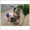 Galeria zdjęć: Kolejny dzień projektu. Link otwiera powiększoną wersję zdjęcia.