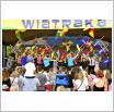 Galeria zdjęć: Krzęcińskie Święto Wiatraka - DISCO SHOW. Link otwiera powiększoną wersję zdjęcia.