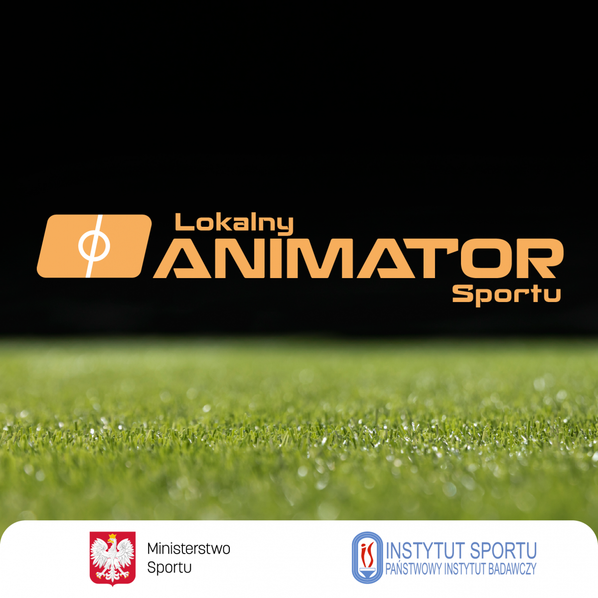 animator
