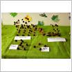 Galeria zdjęć: Piknik Pod Kasztanem. Link otwiera powiększoną wersję zdjęcia.
