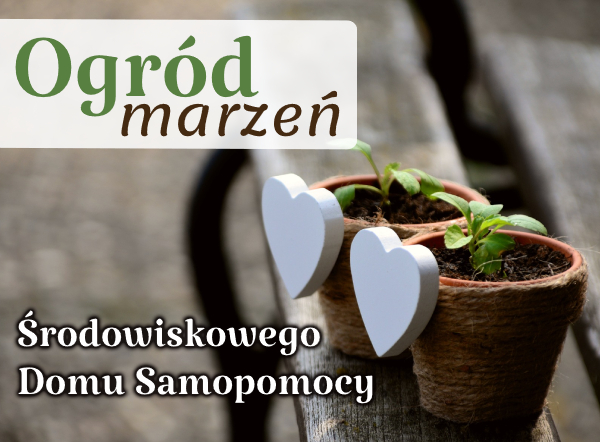 ogrod
