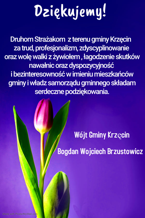 strazak