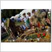 Galeria zdjęć: Targi rolne AGRO-POMERANIA 2016. Link otwiera powiększoną wersję zdjęcia.
