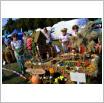 Galeria zdjęć: Targi rolne AGRO-POMERANIA 2016. Link otwiera powiększoną wersję zdjęcia.