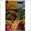 Galeria zdjęć: Targi rolne AGRO-POMERANIA 2016. Link otwiera powiększoną wersję zdjęcia.