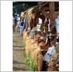 Galeria zdjęć: Targi rolne AGRO-POMERANIA 2016. Link otwiera powiększoną wersję zdjęcia.