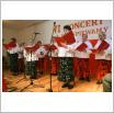 Galeria zdjęć: Koncert