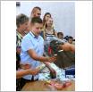 Galeria zdjęć: Dożynki Parafialne w Zieleniewie. Link otwiera powiększoną wersję zdjęcia.