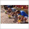 Galeria zdjęć: Gminny Festyn Dożynkowy 2019. Link otwiera powiększoną wersję zdjęcia.