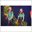 Galeria zdjęć: Koncert Jesienny. Link otwiera powiększoną wersję zdjęcia.