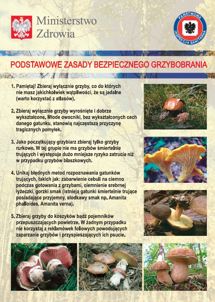 grzyby1