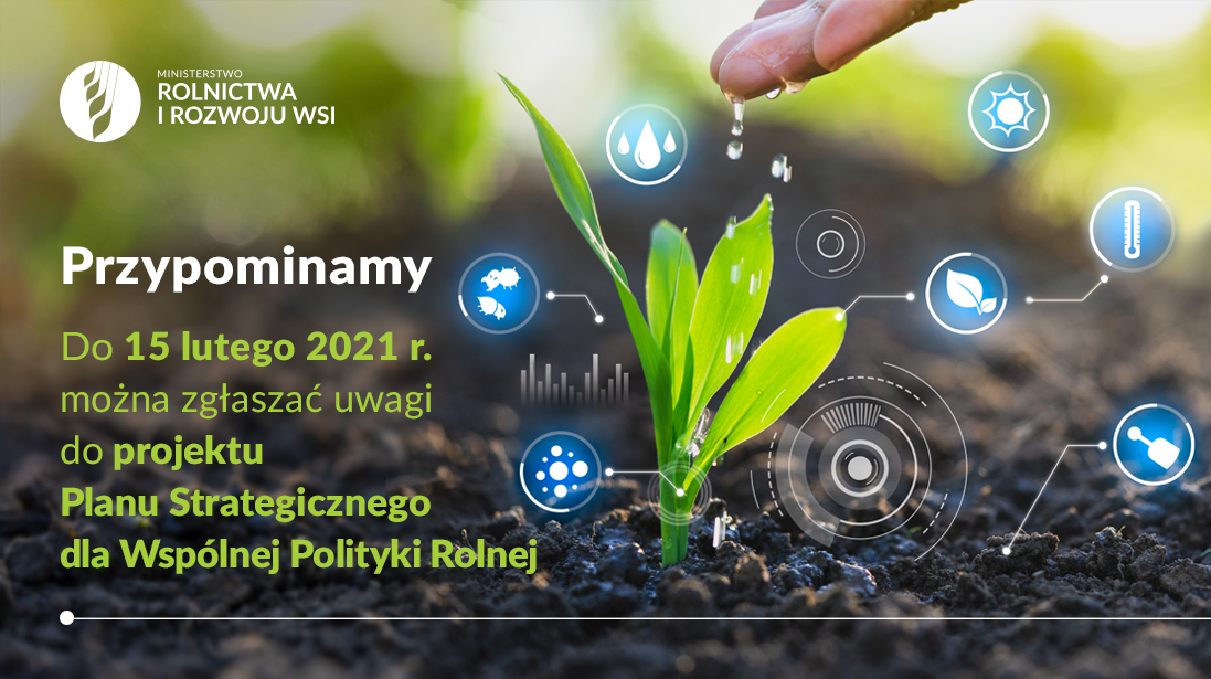 politykarolna