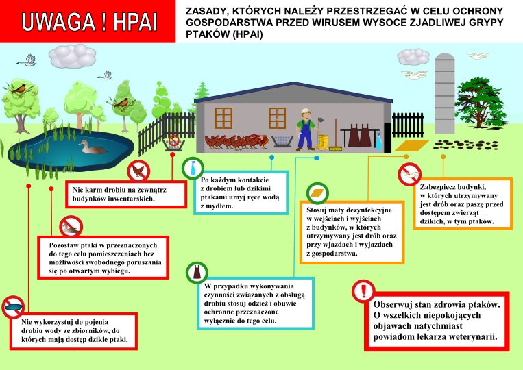 ptasia