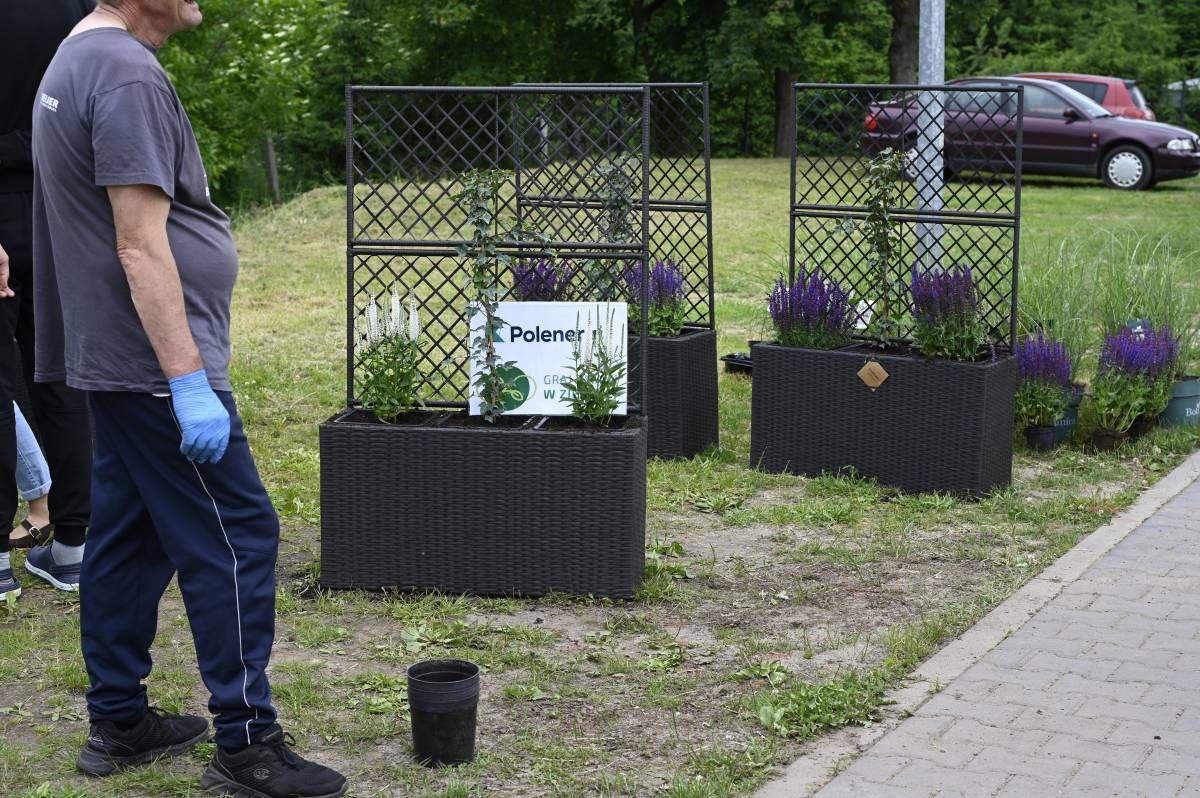 Zdjęcie: Zielona przestrzeń integracji