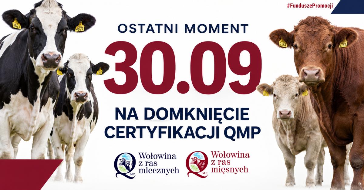 Zdjęcie: Komunikat o terminie certyfikacji QMP