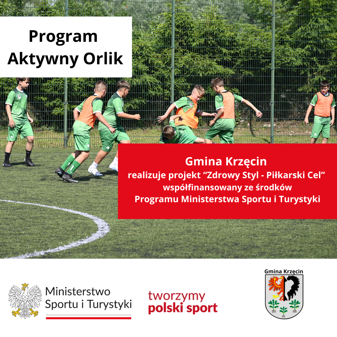 Aktywny Orlik plakat